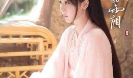 杨紫最新爆料贴吧,揭秘娱乐圈幕后真相